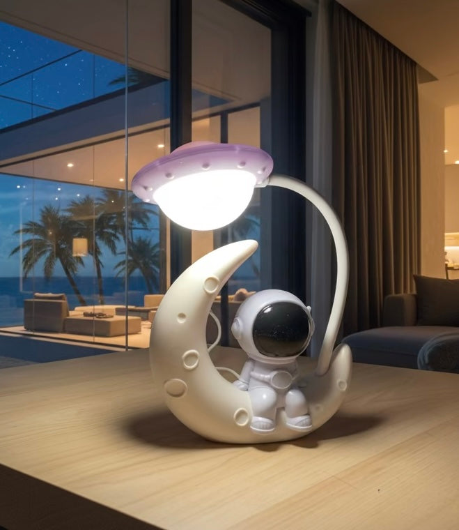 Picture_illustration_of_product_5